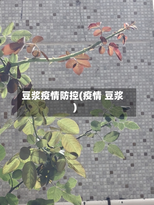 豆浆疫情防控(疫情 豆浆)-第2张图片