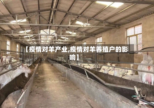 【疫情对羊产业,疫情对羊养殖户的影响】