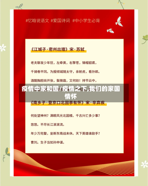 疫情中家和国/疫情之下,我们的家国情怀