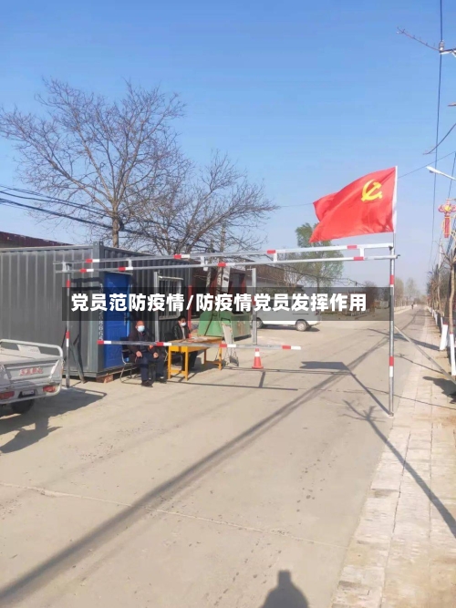 党员范防疫情/防疫情党员发挥作用-第2张图片