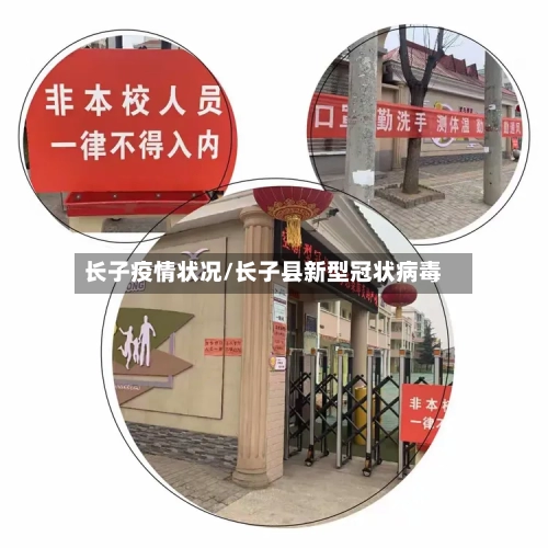 长子疫情状况/长子县新型冠状病毒-第3张图片
